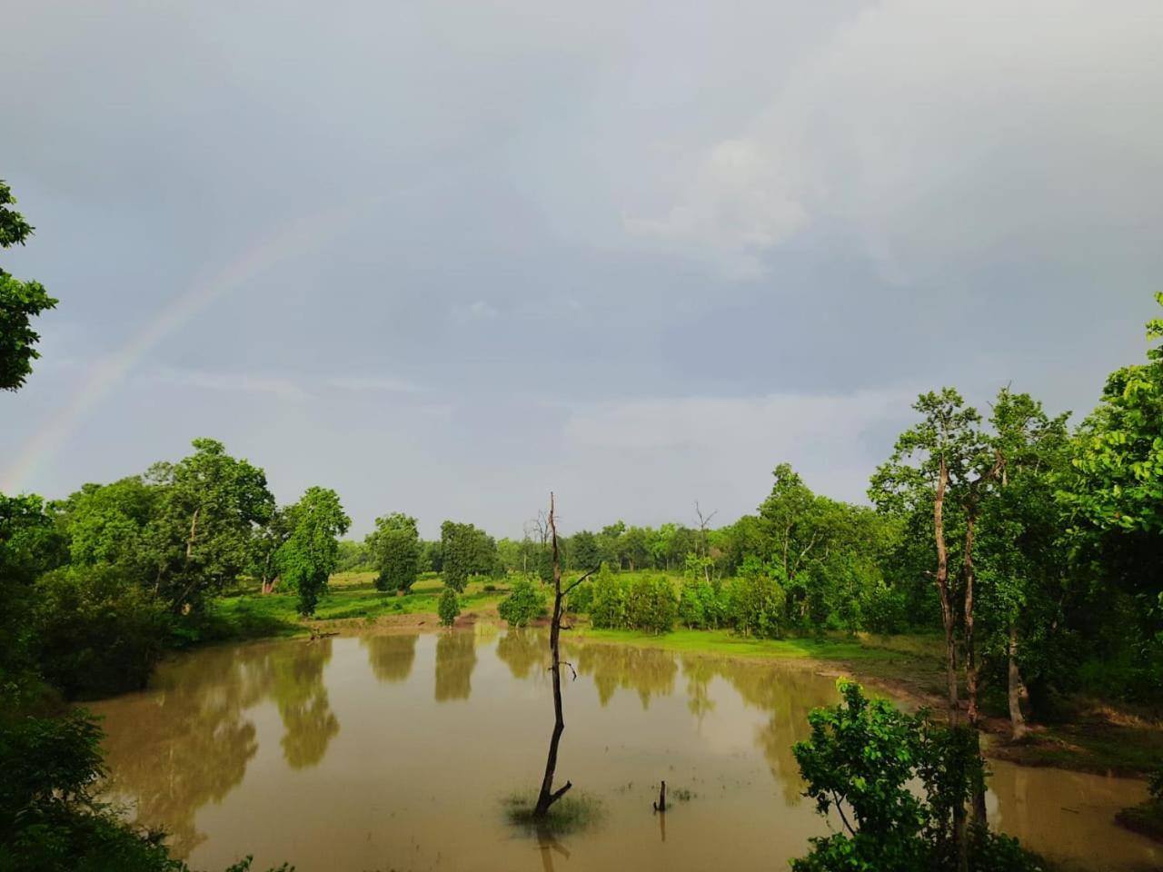 Emerald Tiger Retreat Tāla Zewnętrze zdjęcie